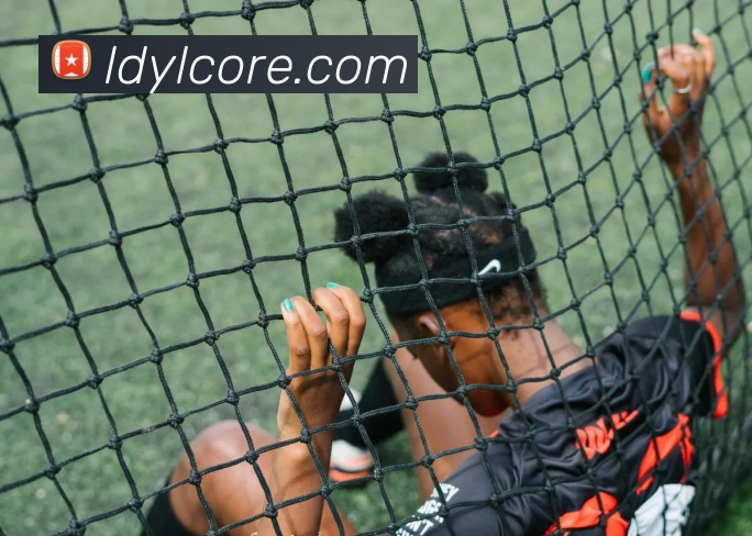 蓝盾娱乐平台生态图